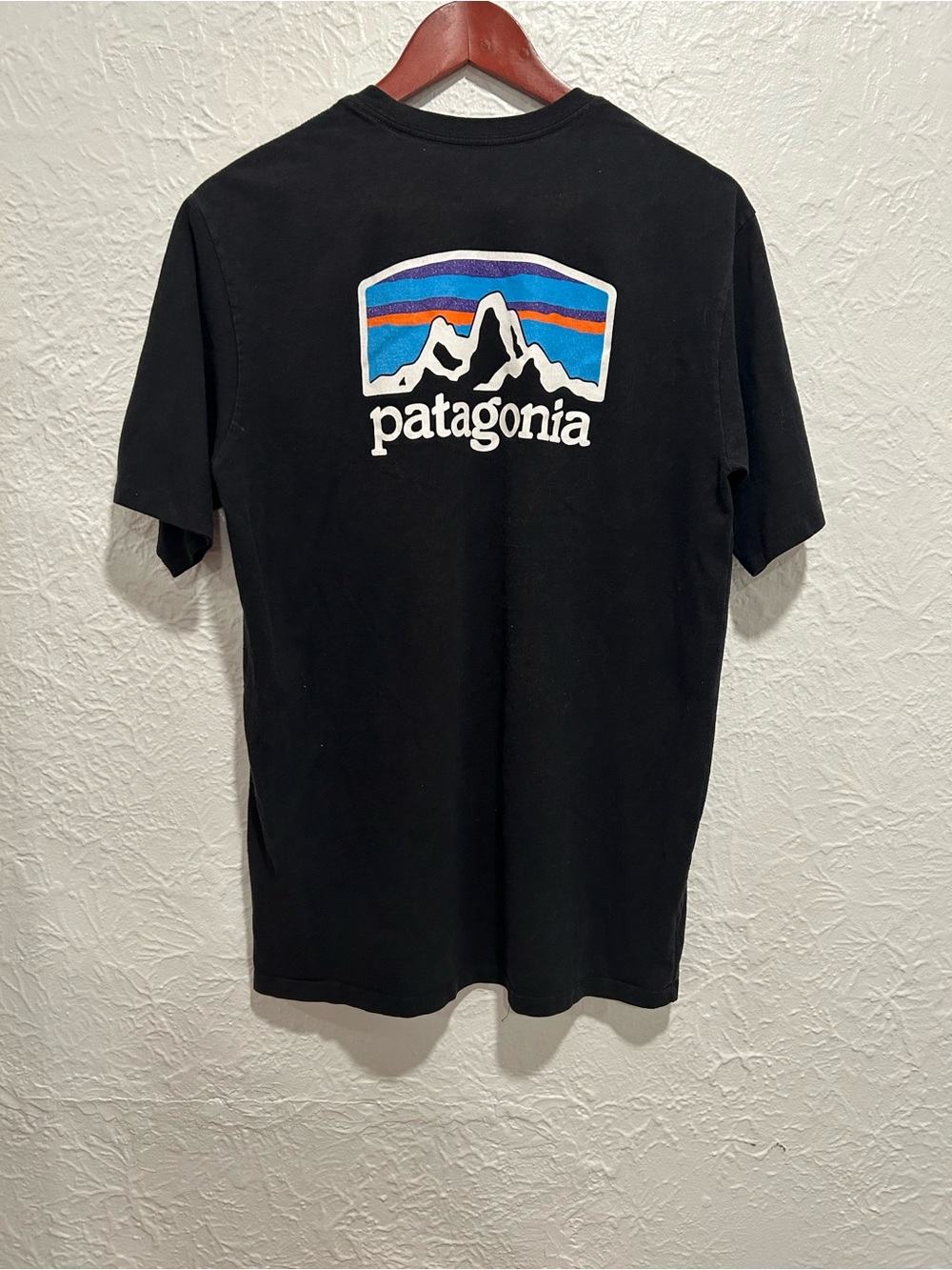 Patagonia Black Tee with Multicolor Mountain Logo